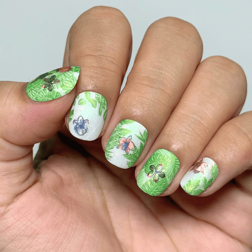 Orchids Garden (MS-132) - Nail Art Sticker