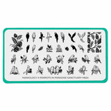 Parrots in Paradise Sanctuary (M624) - Nail Stamping Plate