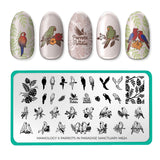 Parrots in Paradise Sanctuary (M624) - Nail Stamping Plate