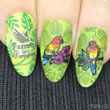 Parrots in Paradise Sanctuary (M624) - Nail Stamping Plate