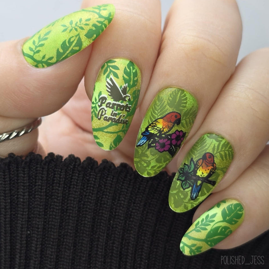 Parrots in Paradise Sanctuary (M624) - Nail Stamping Plate