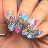 Parrots in Paradise Sanctuary (M624) - Nail Stamping Plate