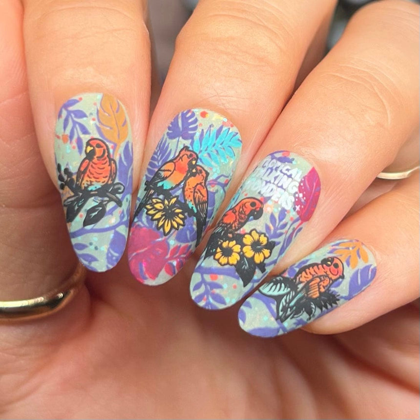 Parrots in Paradise Sanctuary (M624) - Nail Stamping Plate