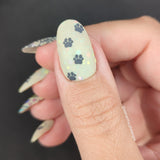 Pawsitive Vibes (M413) - Nail Stamping Plate