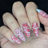 Peony Petals (M665) - Nail Stamping Plate