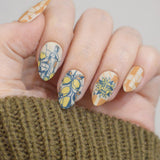 Perfect Angles (M736) - Nail Stamping Plate