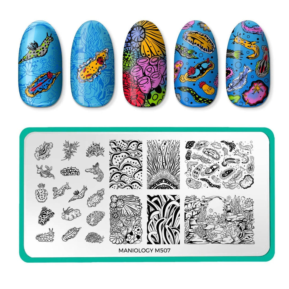 Rainbow Sea Slugs (M507) - Nail Stamping Plate