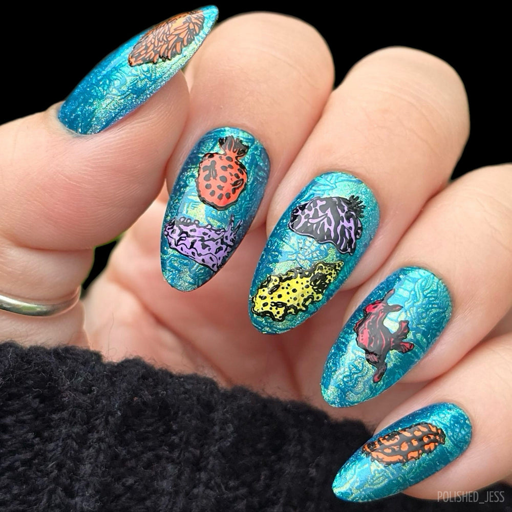 Rainbow Sea Slugs (M507) - Nail Stamping Plate