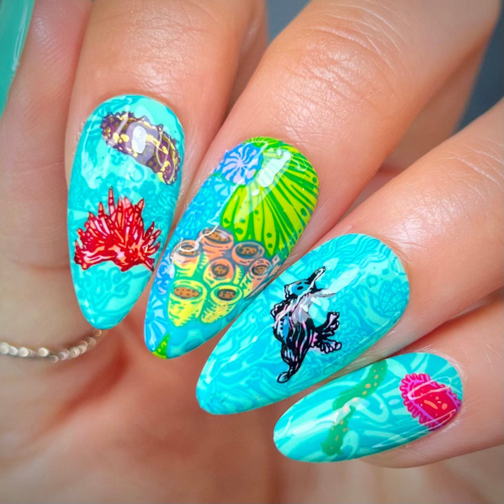 Rainbow Sea Slugs (M507) - Nail Stamping Plate