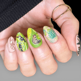 Rainforest Secrets (M709) - Nail Stamping Plate