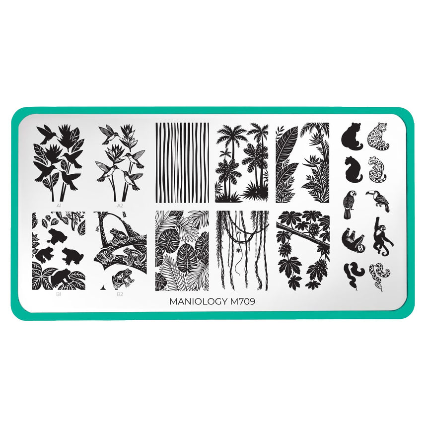 Rainforest Secrets (M709) - Nail Stamping Plate
