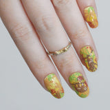 Rainforest Secrets (M709) - Nail Stamping Plate