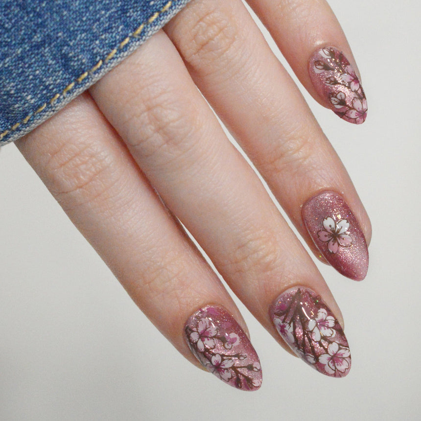 Sakura Showers (M663) - Nail Stamping Plate