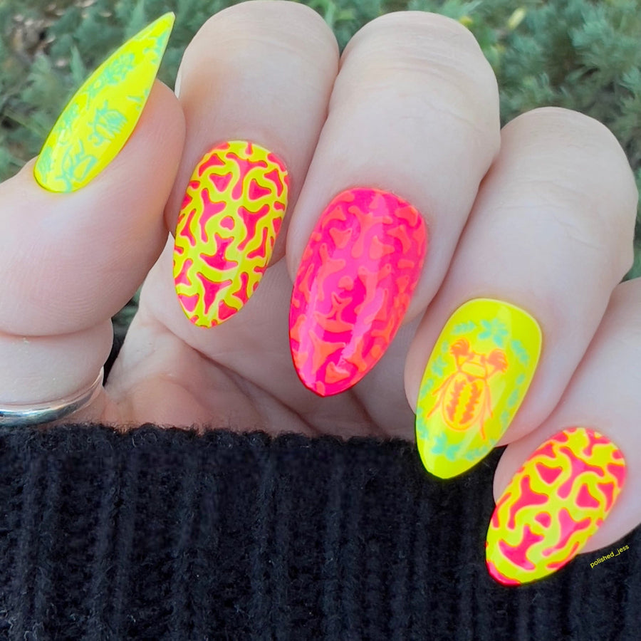 School's Out: 6-Piece Neon Stamping Art Polish Set