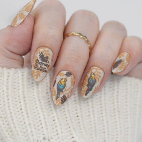 SFAC - Parrots in Paradise Nail Stamping Bundle