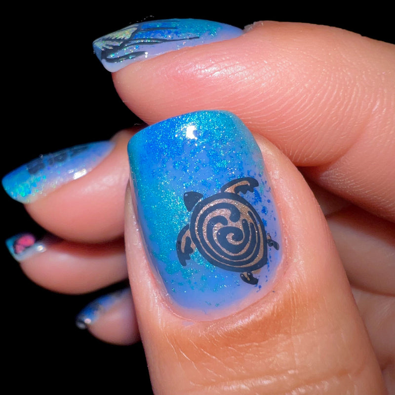 Turtle Pattern Nails Sea Turtle Nail Art