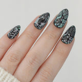 Shell Inlay French (M689) - Nail Stamping Plate