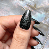 Shell Inlay French (M689) - Nail Stamping Plate