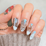 Box of Cozy - Limited Edition Holiday Countdown Calendar