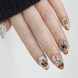 Spellbound (M623) - Nail Stamping Plate