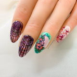 Tidepool Trinkets (M605) - Nail Stamping Plate