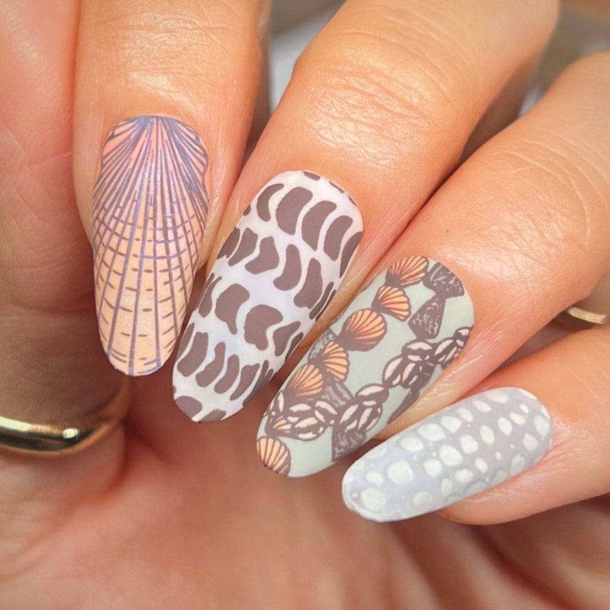 Tidepool Trinkets (M605) - Nail Stamping Plate