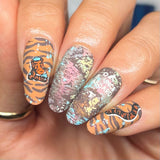 Tigger's Great Adventure (M607) - Nail Stamping Plate