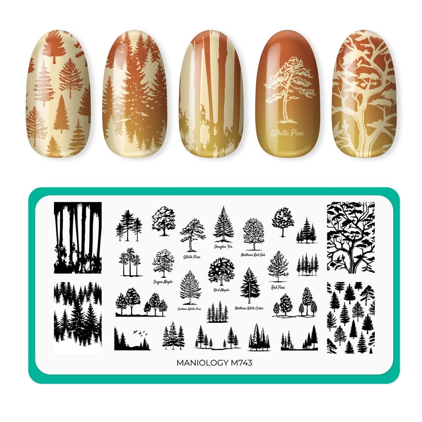 Tree Hugger (M743) - Nail Stamping Plate