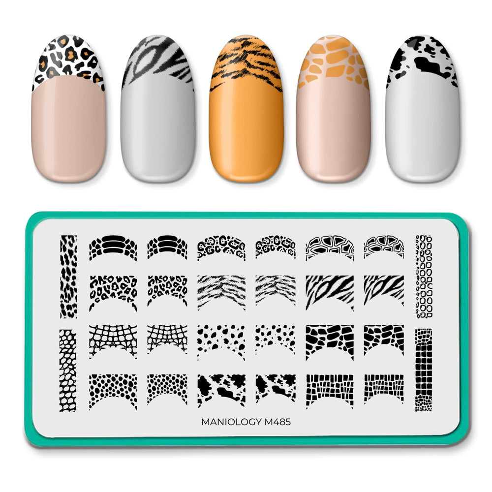 Wild French (M485) - Nail Stamping Plate