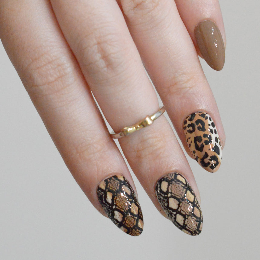 Wild Instincts (M708) - Nail Stamping Plate
