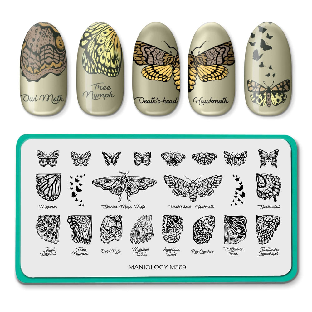 Winged Creatures (M369) - Nail Stamping Plate
