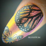 Winged Creatures (M369) - Nail Stamping Plate