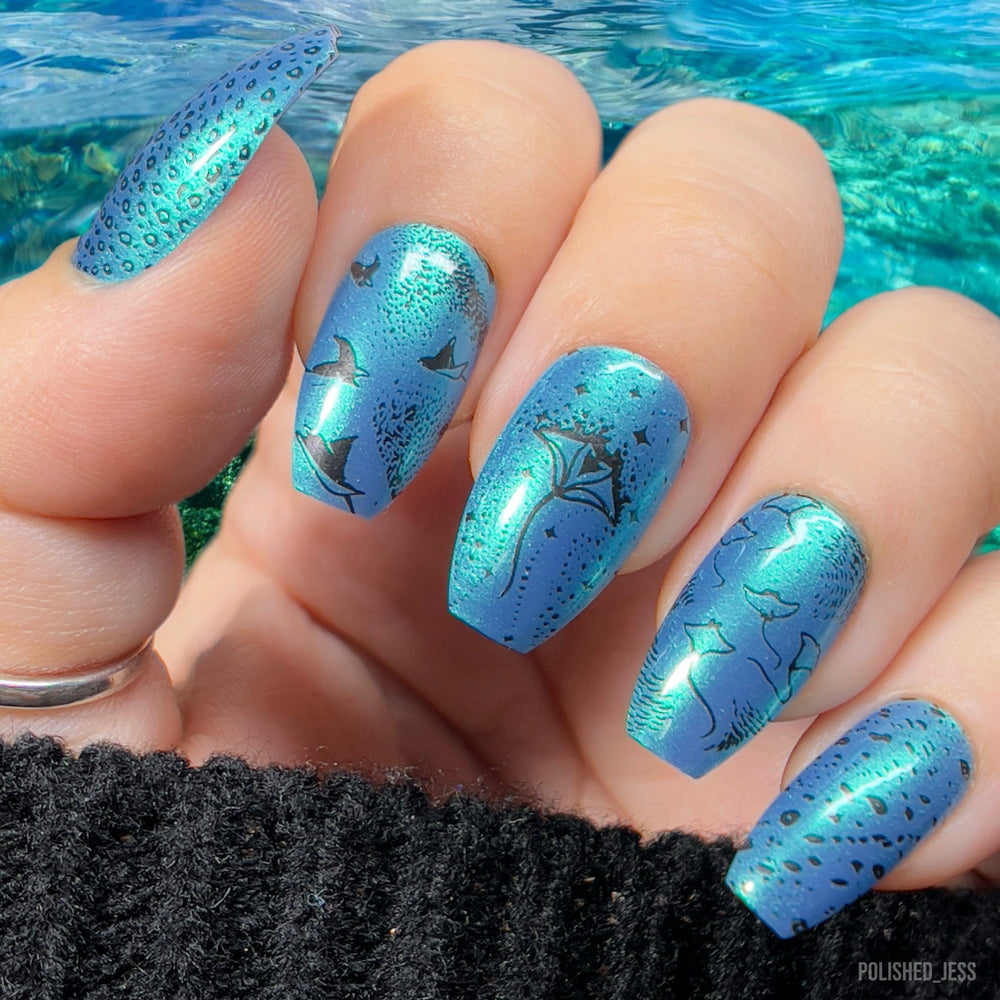 Winged Voyagers (M508) - Nail Stamping Plate