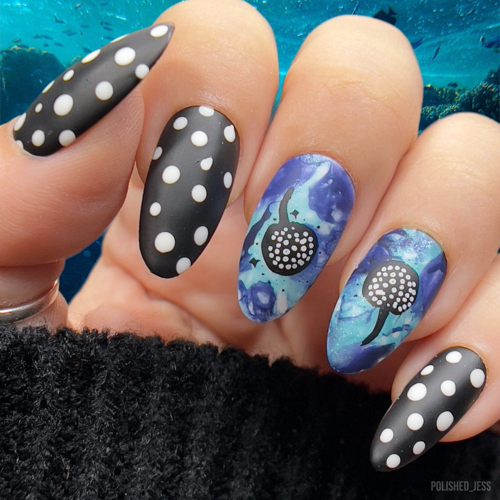 Winged Voyagers (M508) - Nail Stamping Plate