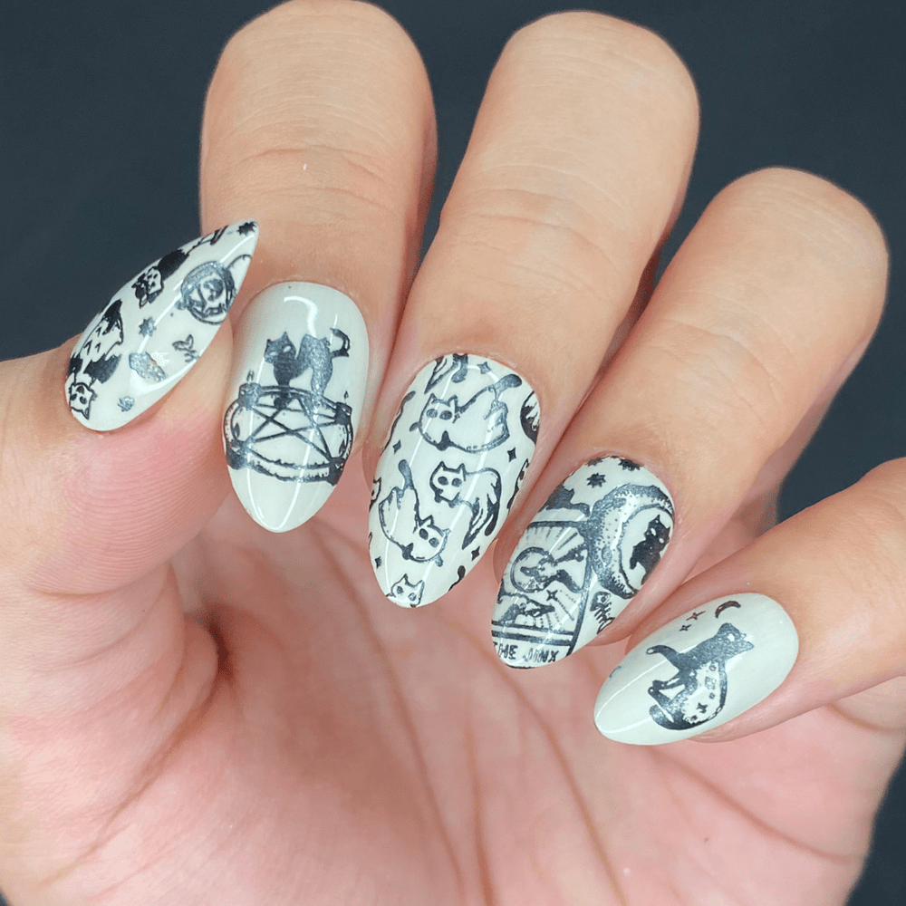 Witch's Familiar (M313) - Nail Stamping Plate