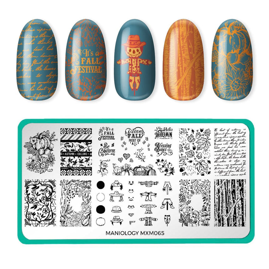 Autumn Memories: Harvest Keepsakes (MXM065) - Nail Stamping Plate