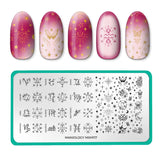 Birthday Bouquests: Written in the Stars (MXM117) - Nail Stamping Plate