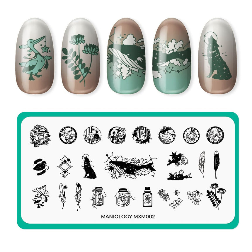 Dreamland: Curio Creatures (MXM002) - Nail Stamping Plate