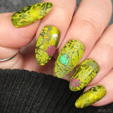Enchanted Waters: Floating Mirage (MXM172) - Nail Stamping Plate