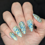 Fine China: Glazed Perfection (MXM169) - Nail Stamping Plate