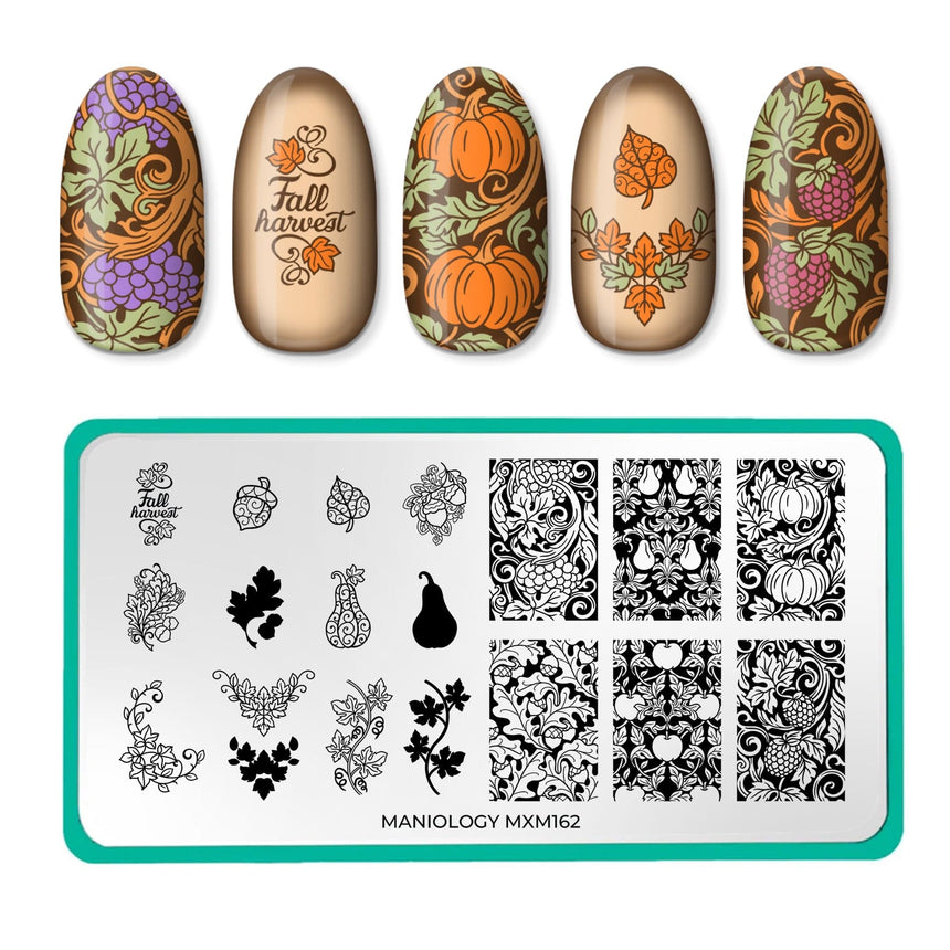 Golden Harvest: Scroll & Season (MXM162) - Nail Stamping Plate