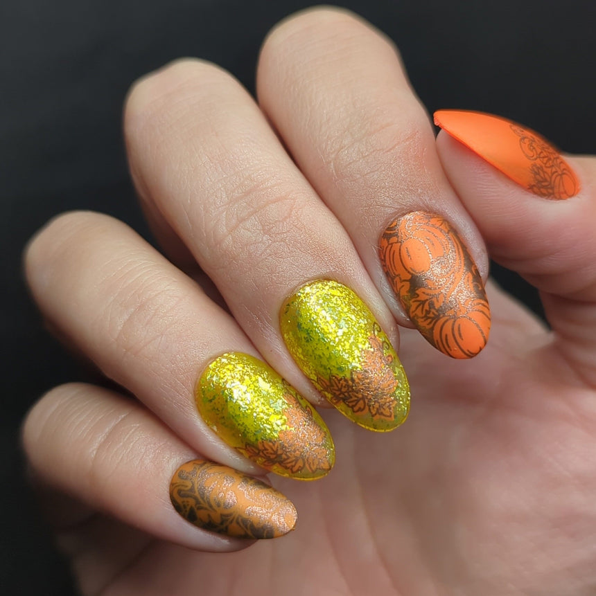 Golden Harvest: Scroll & Season (MXM162) - Nail Stamping Plate