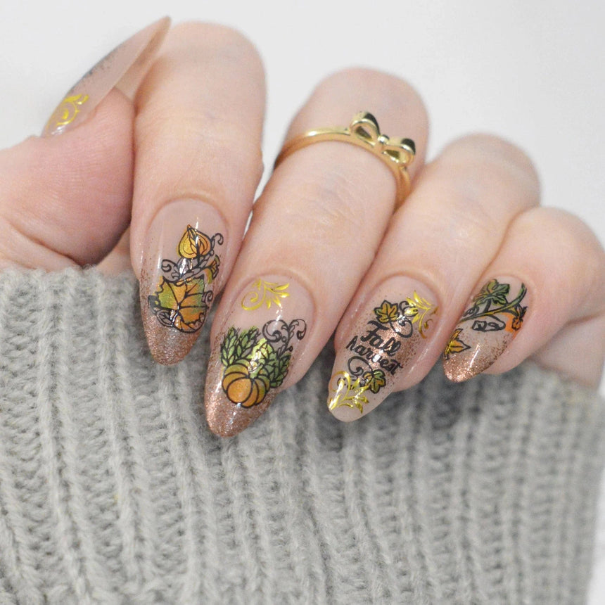 Golden Harvest: Scroll & Season (MXM162) - Nail Stamping Plate