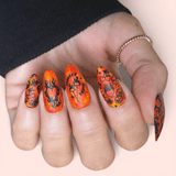 MANI X ME BOX - One Time Purchase Option