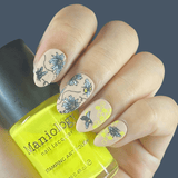 Bees & Blooms: Honey Drip (MXM103) - Nail Stamping Plate