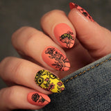 Bees & Blooms: Honey Drip (MXM103) - Nail Stamping Plate