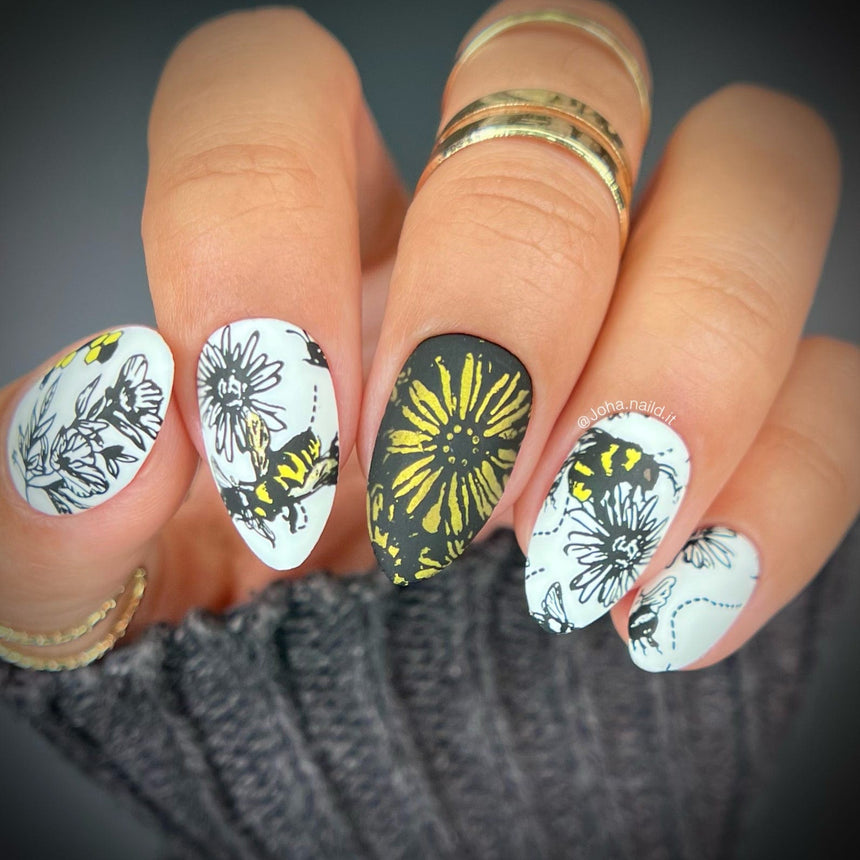 Bees & Blooms: Honey Drip (MXM103) - Nail Stamping Plate
