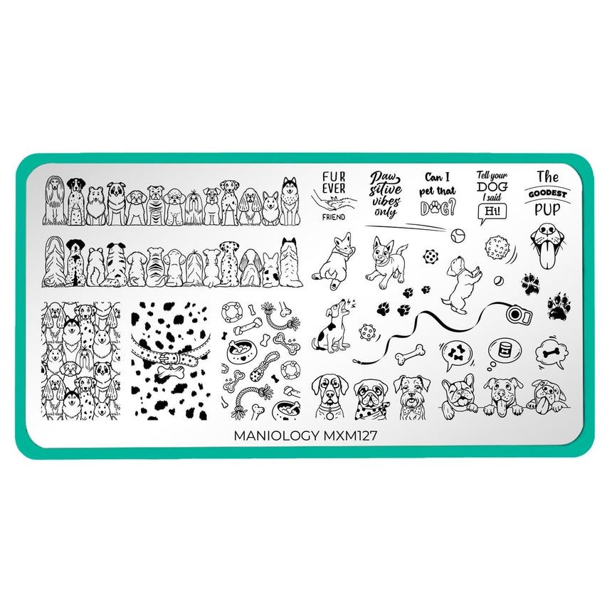 Furever Friends: Paws & Play (MXM127) - Nail Stamping Plate