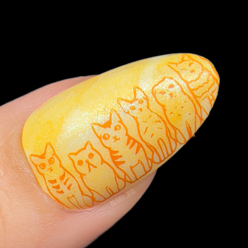 Furever Friends: Meow Manor (MXM128) - Nail Stamping Plate