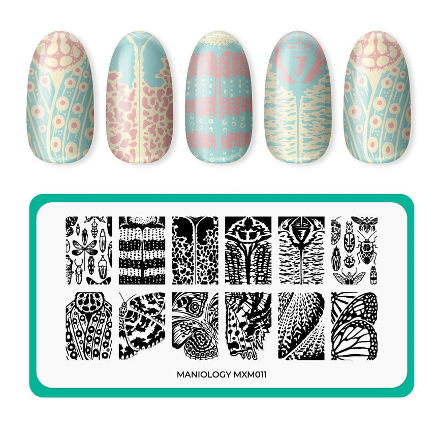 Metamorphosis: Wings of Change (MXM011) - Nail Stamping Plate